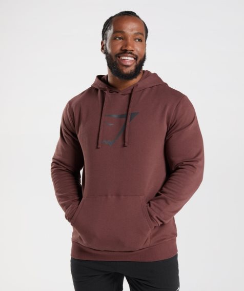 Men's Gymshark Sharkhead Infill Hoodie Brown | CA 1D8370